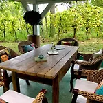 Bohemian Eco At Balaton شقة